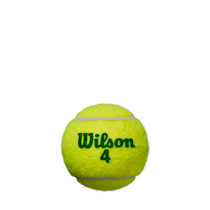 BALLES DE TENNIS WILSON STARTER PLAY GREEN X4 Wilson